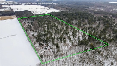 20 Acres County Road D, Waupaca, WI 54981 - photo 6
