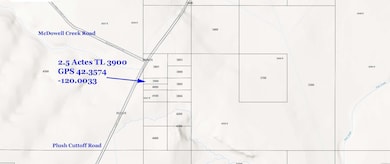 Topo 2.5 10570