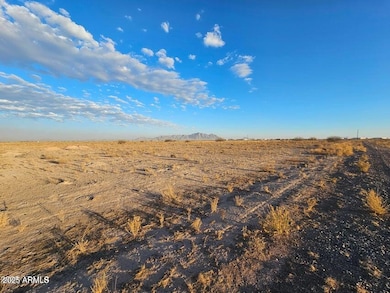 0 S Undetermined Rd unit 98-99 6891908, Casa Grande, AZ 85122 - photo 5