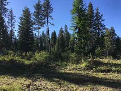 126 Deer Run Rd, Trout Creek, MT 59874 - photo 3