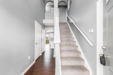 C - 3127 Arborsye001