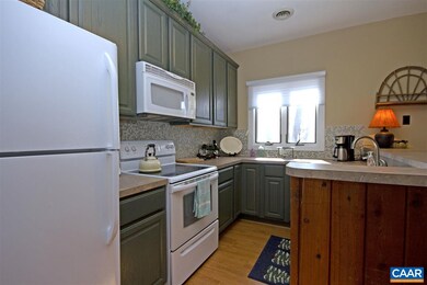 443 3 Ridges, Wintergreen Resort, VA 22967 - photo 7