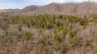 DJI_20250310150333_0434_D