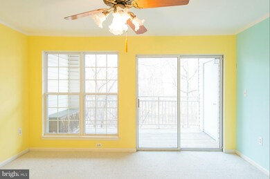 5313 Wagon Shed Cir, Owings Mills, MD 21117 - photo 4