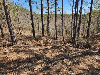 231 Pioneer Dr, Linden, TN 37096 - photo 3