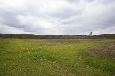 11625 Highway 68 E, Gaylesville, AL 35973 - photo 7