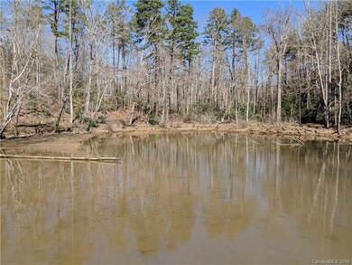 Picture from dock looking onto the property at the