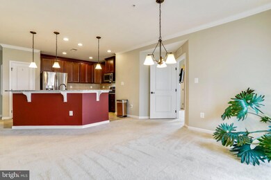 6501 Walcott Ln unit 304, Frederick, MD 21703 - photo 7