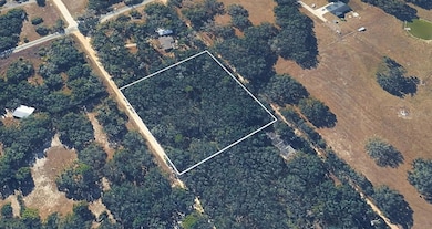 8856 N Himalayas Point, Dunnellon, FL 34433 - photo 4