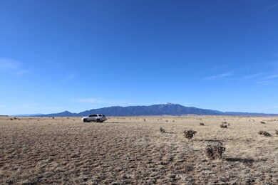 IMG_0305