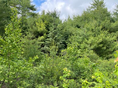 87 Natures Way, Standish, ME 04084 - photo 6