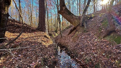 0 Oscar Walton Rd unit 24714036, Tignall, GA 30668 - photo 6