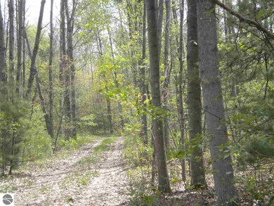 0 W Best Rd unit 18,19, Alger, MI 48610 - photo 5