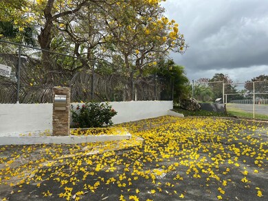 HG 81 Amalia Paoli Ave, Toa Baja, PR 00949 - photo 5