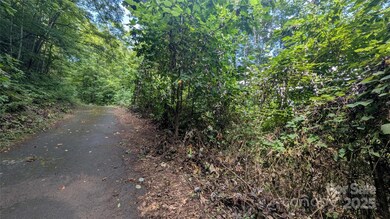 00 Chestnut Walk Dr unit 3, Waynesville, NC 28786 - photo 2