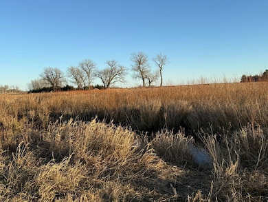 80 +/- Acres Holt County, Stuart, NE 68780 - photo 7