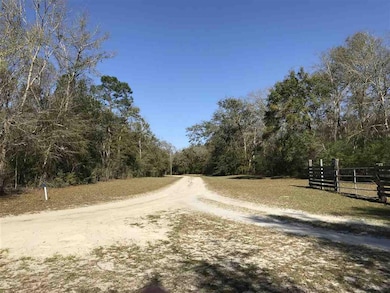xx Kirton-Frazey Rd unit 4, Crawfordville, FL 32327 - photo 5