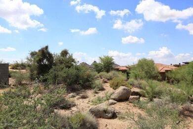 Pinnacle Peak View