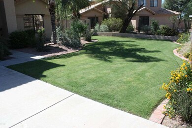 Manicured Front Yard