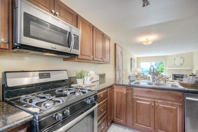 220 S Shorehang Ln, Encinitas, CA 92024 - photo 5