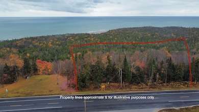 dji_fly_20241025_103028_346_173213306652
