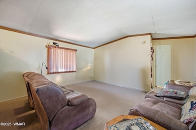 703 E Frontier St unit 31, Payson, AZ 85541 - photo 7