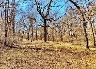 0 Off School House Rd unit 1210604, Siloam Springs, AR 72761 - photo 3