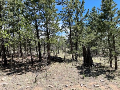 55 Deer Ct, Como, CO 80432 - photo 6