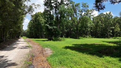 Rowdy Lane Street View