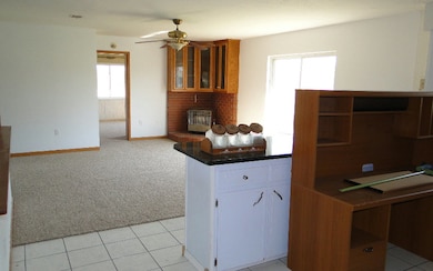 2078 SW Wilson Springs Rd, Fort White, FL 32038 - photo 4