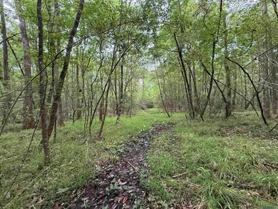 0 Louisiana 438, Franklinton, LA 70438 - photo 6