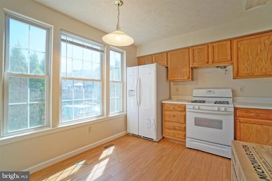 933 Joshua Tree Ct, Owings Mills, MD 21117 - photo 2