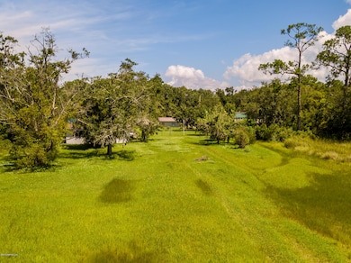 2834 Broward Rd, Jacksonville, FL 32218 - photo 7