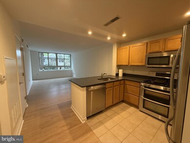 Potomac Place Condominiums unit N121, Washington, DC 20024 - photo 2
