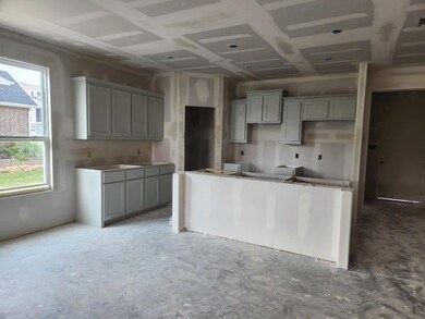 813 Taliaferro Trail, Springtown, TX 76082 - photo 3