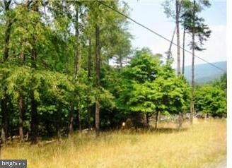 24 Pioneer Trail, Great Cacapon, WV 25422 - photo 5