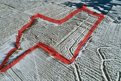 1150 South St, Ladoga, IN 47954 - photo 5