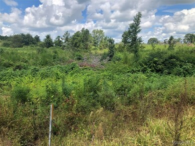 Plot B