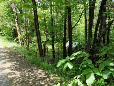 00 Oliver Hill Rd, Dover-Foxcroft, ME 04426 - photo 6