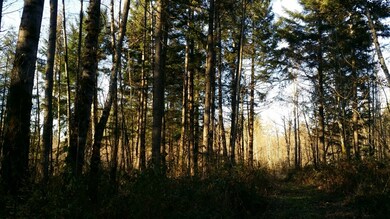 104 SE 288th St, Graham, WA 98338 - photo 7