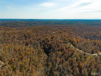 15682 Winding Trail, Birch Tree, MO 65438 - photo 6