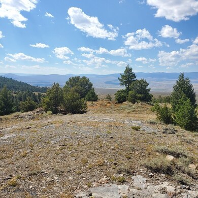TBD Badger Microwave Rd (Blm Tc4) Rd, Dillon, MT 59725 - photo 3
