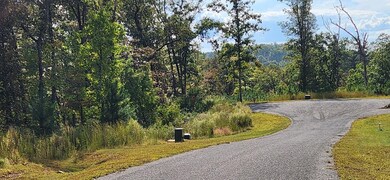 Lot 54 High River Landing, Ellijay, GA 30540 - photo 7