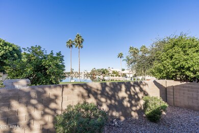 Backyard view