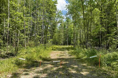 527 Governor Wentworth Hwy unit 27, Center Tuftonboro, NH 03816 - photo 7