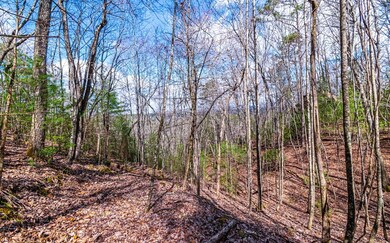 LOT 4LW Katydid Rd, Mineral Bluff, GA 30559 - photo 2