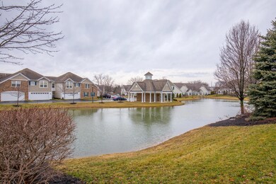 Pond at The Cottages