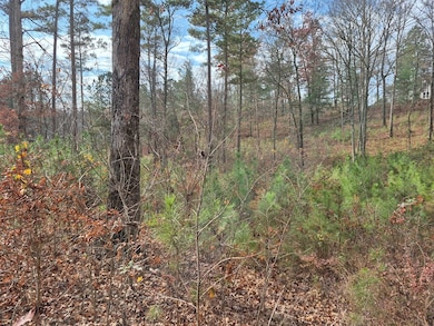 00 High River Crossing, Ellijay, GA 30540 - photo 5