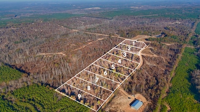 2 County Road 4251, New Site, MS 38859 - photo 3