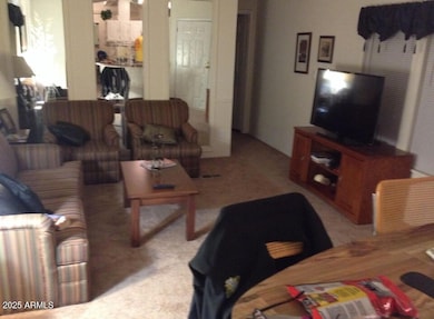 834 S Meridian Rd unit 173, Apache Junction, AZ 85120 - photo 5